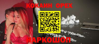 крисы Кулебаки