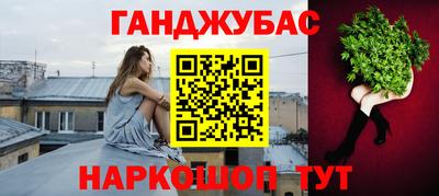 крисы Кулебаки