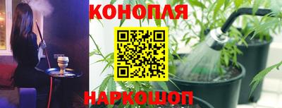 крисы Кулебаки