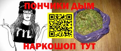 крисы Кулебаки