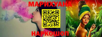 крисы Кулебаки